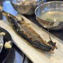 오로라회센타
