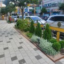 광양중동초등학교 이미지