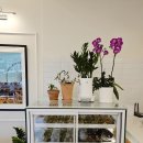 낙성대역 5번출구 | 낙성대역 근처맛집 새로생긴 레스토랑 콤마