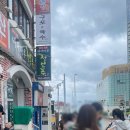 바다마루 이미지