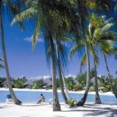 보라보라 이미지