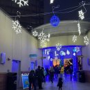 한국체육대학교 (빙상경기장옆) | 미국 노스캐롤라이나 샬럿, 크리스마스 마켓 at Light the Knights Festival