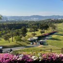 보령베이스컨트리클럽 이미지