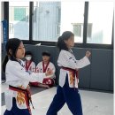 경희태권도체육관 이미지