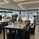 물만난 버섯 이미지