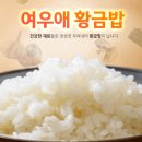 여우애