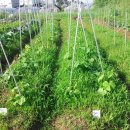 풍동농장 이미지