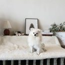 화성로 L 이미지