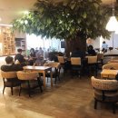 착한카페 이미지