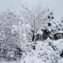 용화산들꽃향기