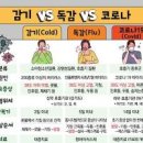 A형독감 증상 B형독감 차이 원인 총정리 이미지
