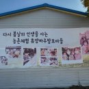 앙코르브라보노사회적협동조합 이미지