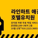 라인하트 애견호텔 유치원 이미지