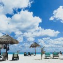 우리들의 댕댕이 이미지