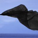 바람의말 이미지