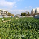 공공용 32 이미지