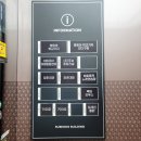 바미애견유치원 이미지