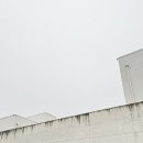 굿소일 | 용인 대형 베리커리 카페 아이소 블루리본 빵집 노트북 작업 추천