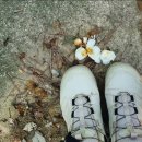 산책길에 이미지