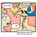 [신사회식] (3월 SKT통신사할인을곁들인)고사리가 킥인 구워주는 고기집 고반식당 가로수길점