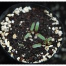 산새랑 게스트하우스 이미지