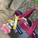 [당감동 수영장] 부산 실내수영장 추천, 조이풀스윔 이용후기