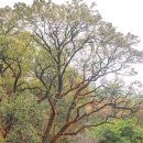 태조농장 이미지