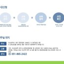 홍라이브