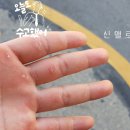 저스트클라이밍센타 이미지