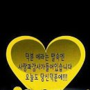 행복한나날