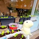 적촌길 | 대전 낙지볶음 맛집 제육 가리비살이 들어있는 관평동 촌길낙지