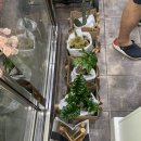 주식회사 거양 이미지