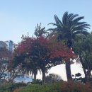 롬하우스펜션 이미지