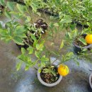 누리팜(주) 이미지