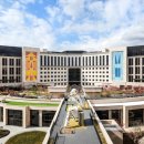 파라다이스 이미지