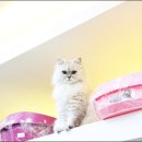 폴리파크 역삼점 이미지