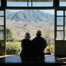 우리밀밭 | [경남/하동] 매암제다원/매암차박물관 : 겨울방문후기 / 포토존추천 / 주차장