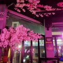 포차끝판왕강릉점 이미지