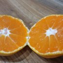 계림상회 이미지