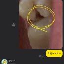 서울바른e치과의원 이미지