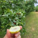 바람햇살농장 이미지