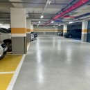 911 매일의원 이미지