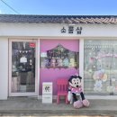 마이페이버릿띵스 | 김해 봉황동 소품샵! 마이페이버릿띵스 다녀온 후기!