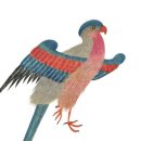 파랑새정원 이미지