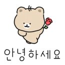 익산디테일링스팀손세차익산출장세차세차의요정 이미지
