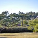 홍주의사총 이미지