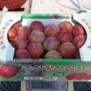 서형수농장 이미지