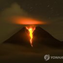 새(화산)2 이미지