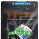 팔팔탁구장