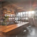 도일자동차 | 반려동물이나 아이랑 가기 좋은 분위기 좋은 안산 카페 어흥당 솔직 방문기